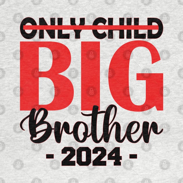 only child big brother 2024 by mdr design